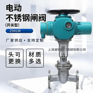 電動(dòng)閘閥Z941W-25P DN250法蘭不銹鋼