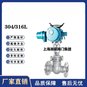 Z941W-16P，DN250，CF8/F304不銹鋼電動(dòng)閘閥