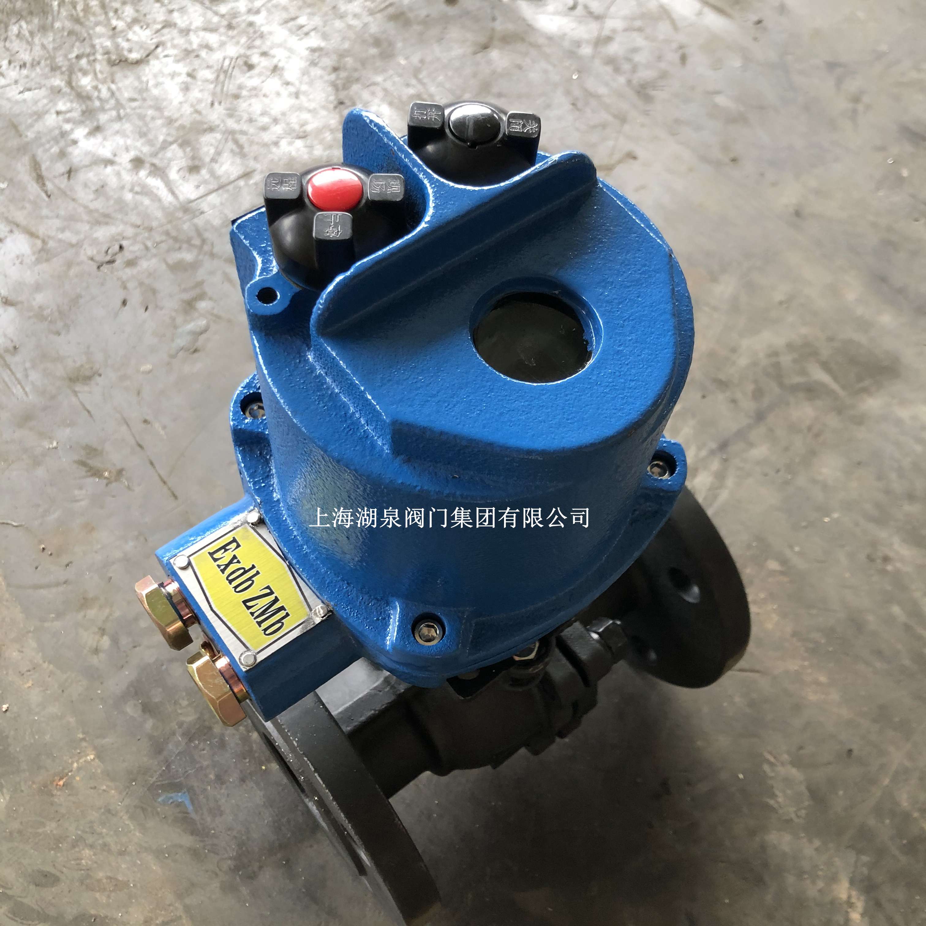 閥門電動(dòng)裝置